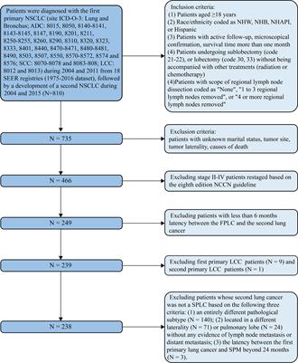 Surgical selection and regional lymph node dissection for stage I second primary lung cancer patients following surgery for stage I first primary lung cancer